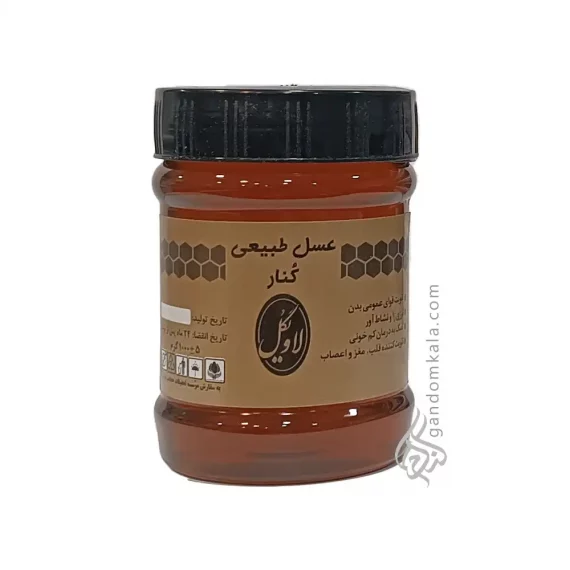 عسل کنار دکتر خیراندیش