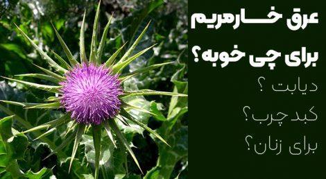 خواص عرق خارمریم